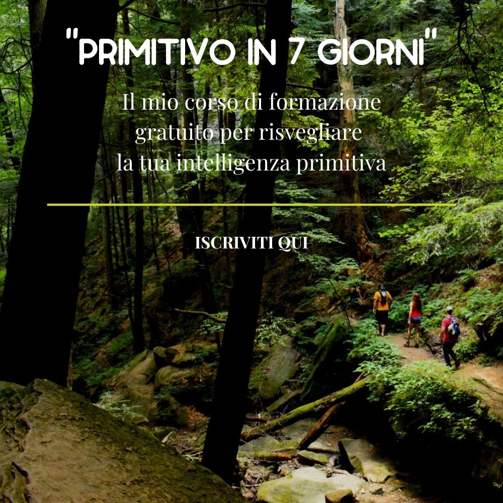 primitivo_in_7gg-1