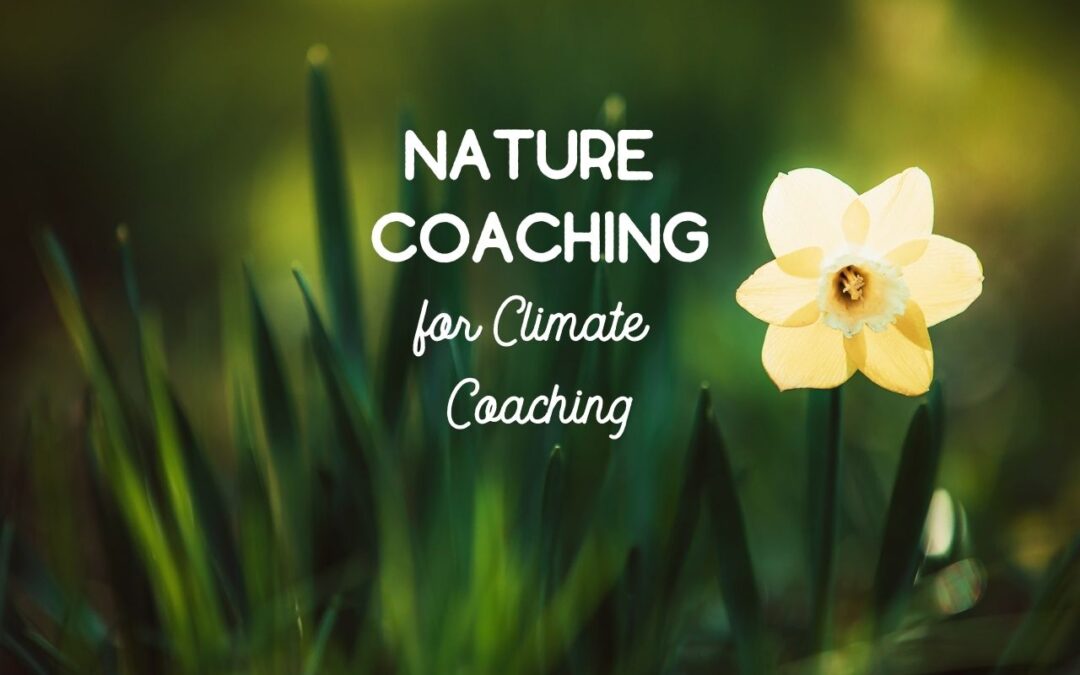 nature coaching climate coaching