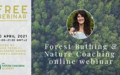 forest bathing e nature coaching: corsi internazionali