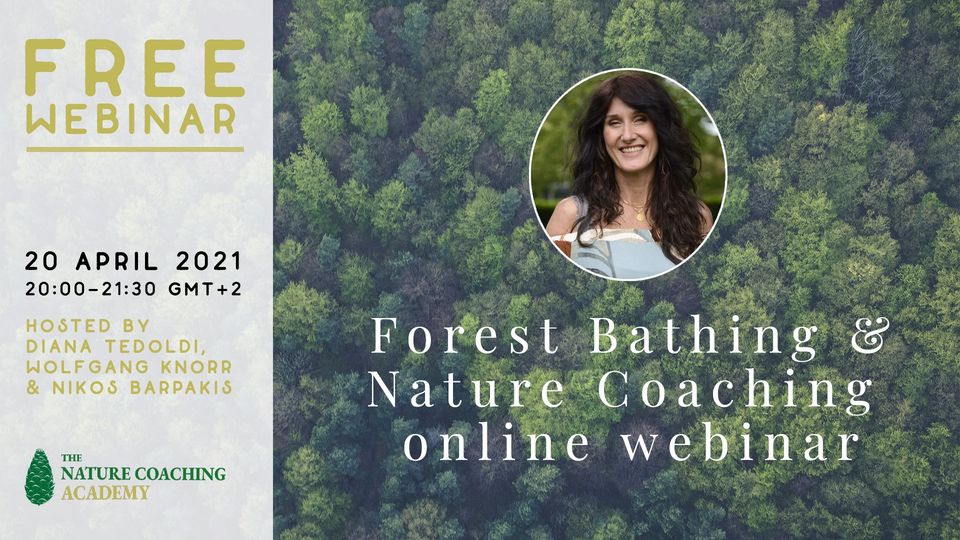 forest bathing e nature coaching: corsi internazionali