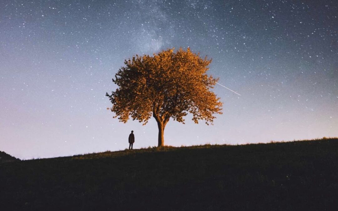 cielo notturno stellato con albero e persona in piedi accanto