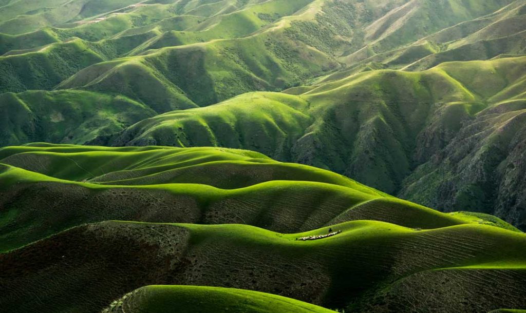 distesa verde di colline