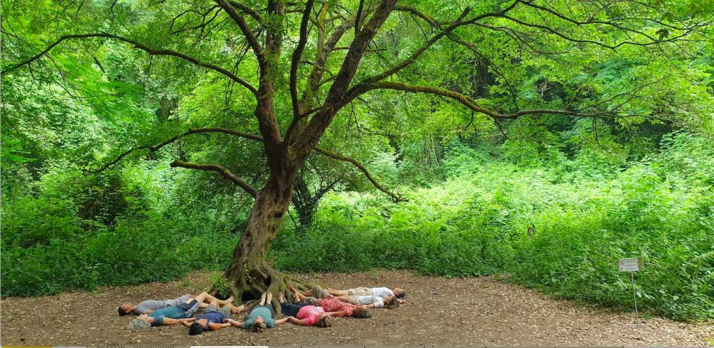 persone sdraiate nel bosco con i piedi sull'albero