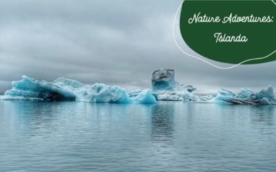 nature adventures: l’islanda, terra del ghiaccio