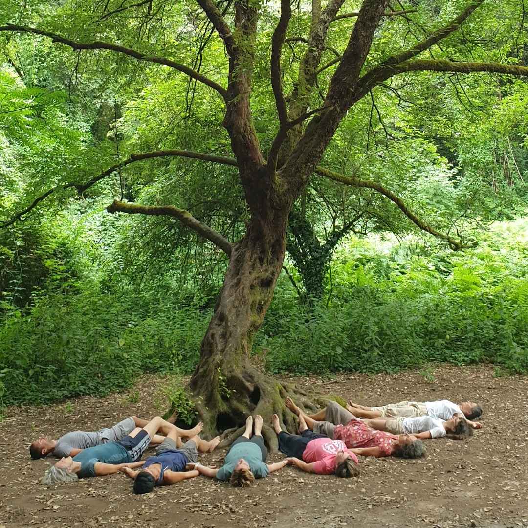 NATURE COACHING diana tedoldi small NATURE COACHING diana tedoldi small